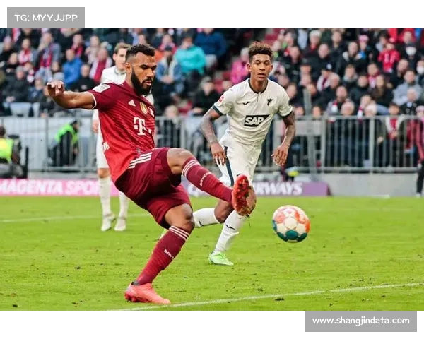 霍芬海姆vs门兴，莱茵德比历史数据揭示平局概率高