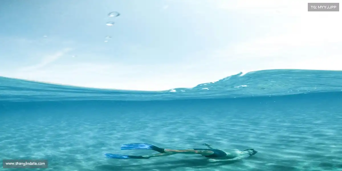 赏金女王官网——十项全能，冠绝群雄！